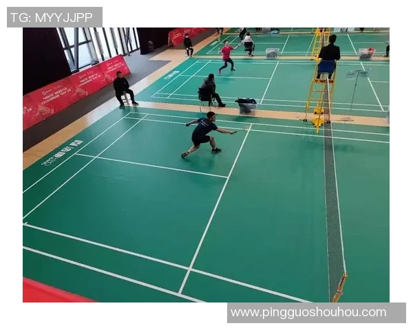 赛后分析：杭州羽毛球队与西安羽毛球队灵活性对比及战术探讨