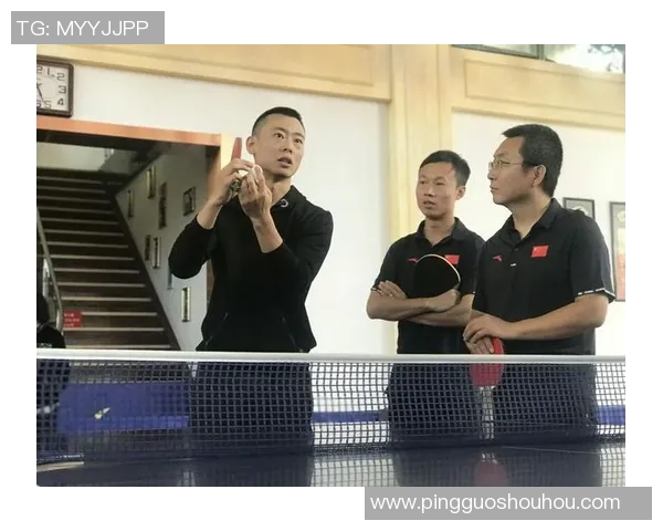 赵敏专访：畅谈乒乓球生涯与未来展望的精彩回顾