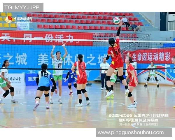 重庆排球队实力强劲荣登全国排球力量排行榜第五名