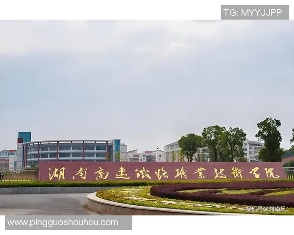 重庆排球队的崛起之路总决赛特别报道展现成长与奋斗的精彩篇章