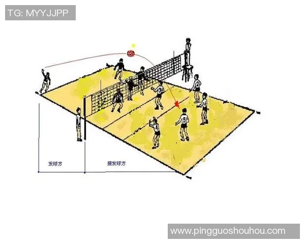 重庆排球队的节奏分析与战术得失探讨