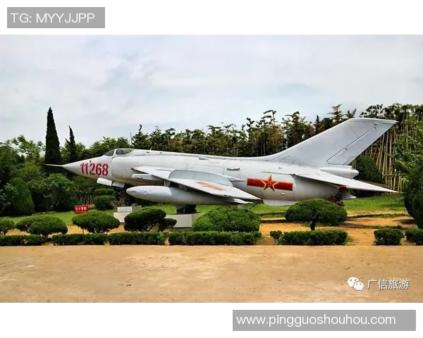 重庆羽毛球队阵地战全景解读与未来发展展望