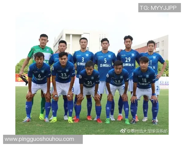 南京排球队在总决赛中的精彩表现与团队力量分析 南京排球队在总决赛中的精彩表现与团队力量分析